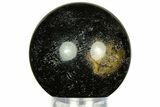 Polished Petrified Palm Wood Sphere - Indonesia #311561-1